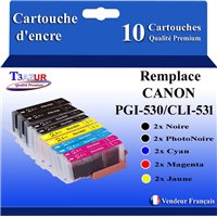 Lot de 10 Cartouche Compatible pour Canon PGI-530 / CLI-531